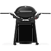 Weber Q-3200N ����� ������� � �������� �������-������