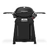 Weber Q-2800N ����� ������� � �������� �������-������